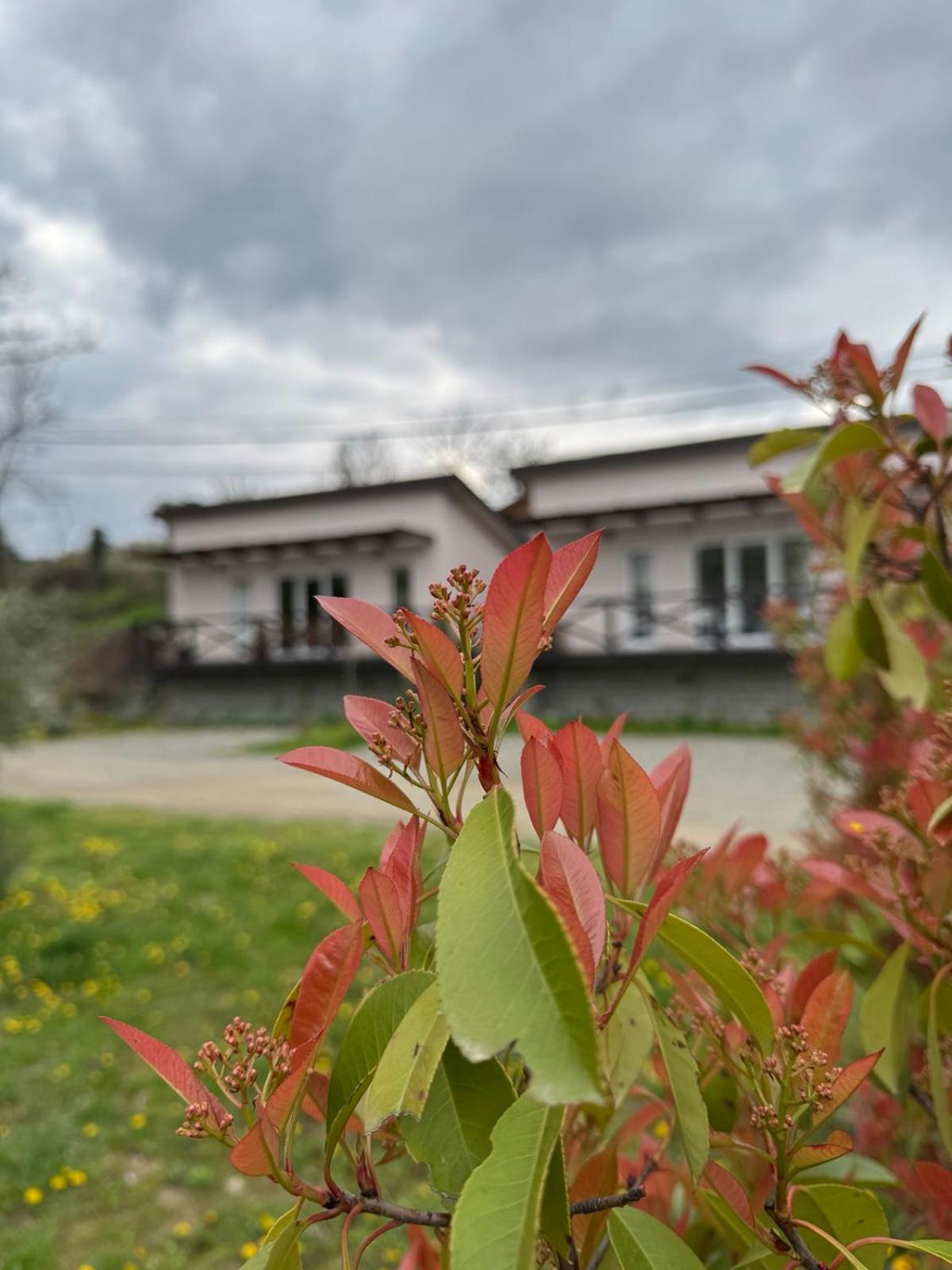 Bora Kuce Na Reci Villa Belgrad Dış mekan fotoğraf