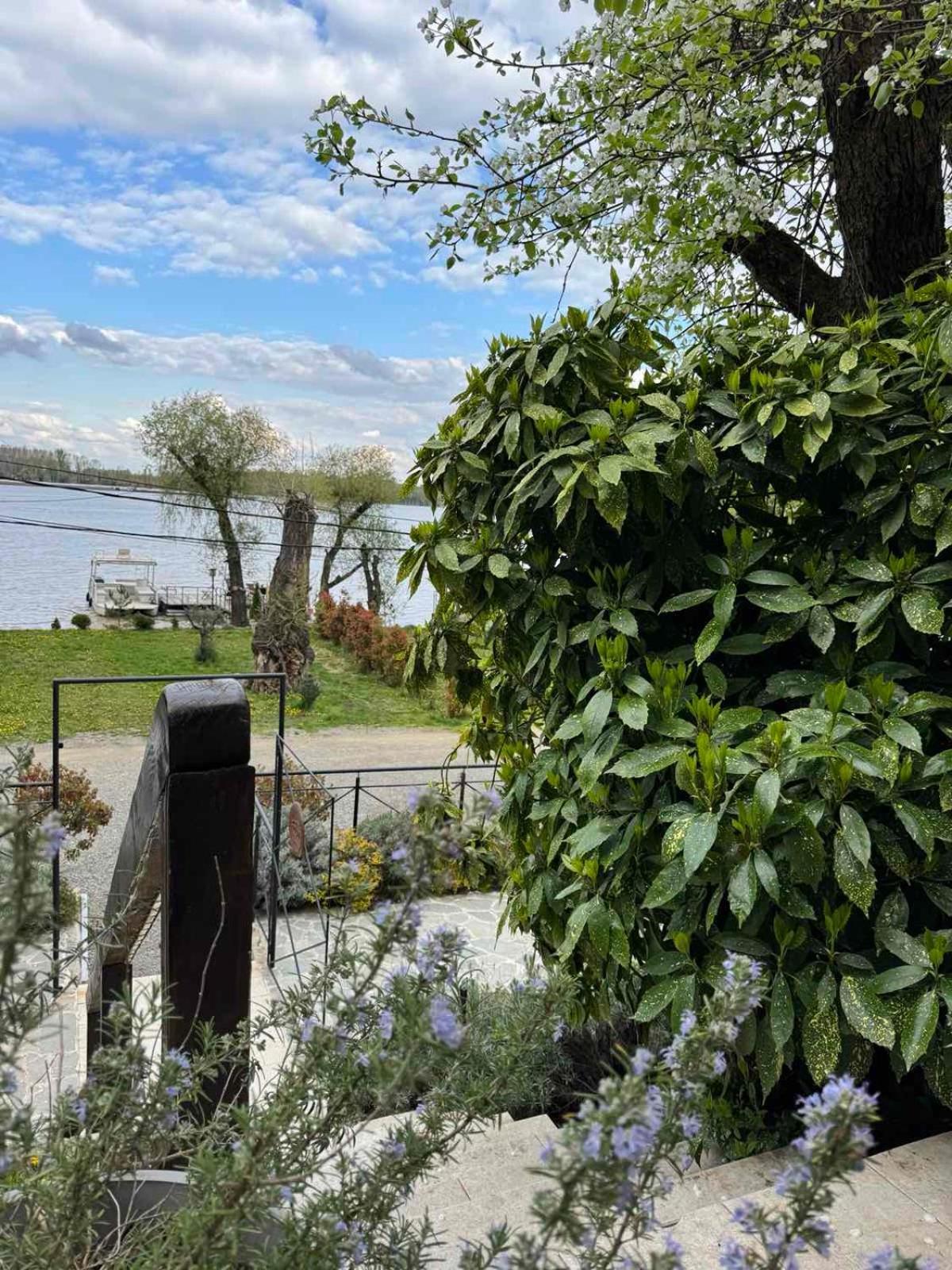 Bora Kuce Na Reci Villa Belgrad Dış mekan fotoğraf